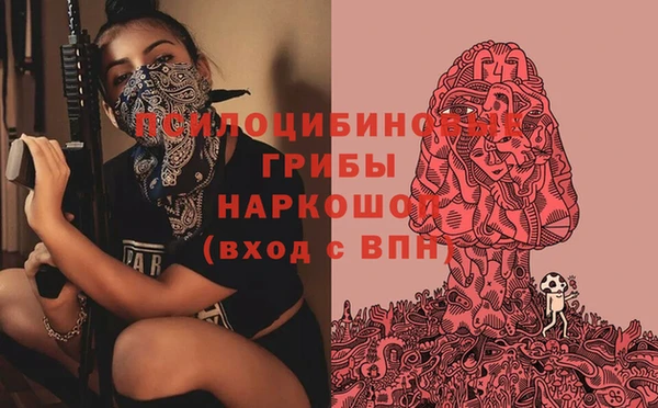прущие крисы Зерноград