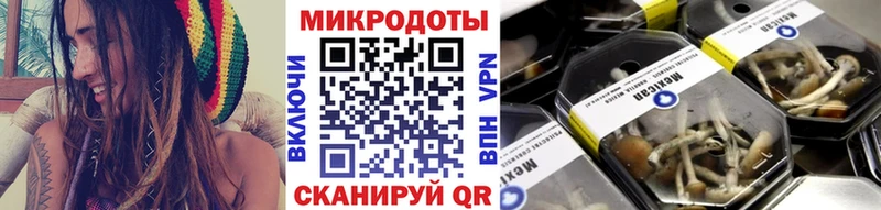 Псилоцибиновые грибы Psilocybe Полесск